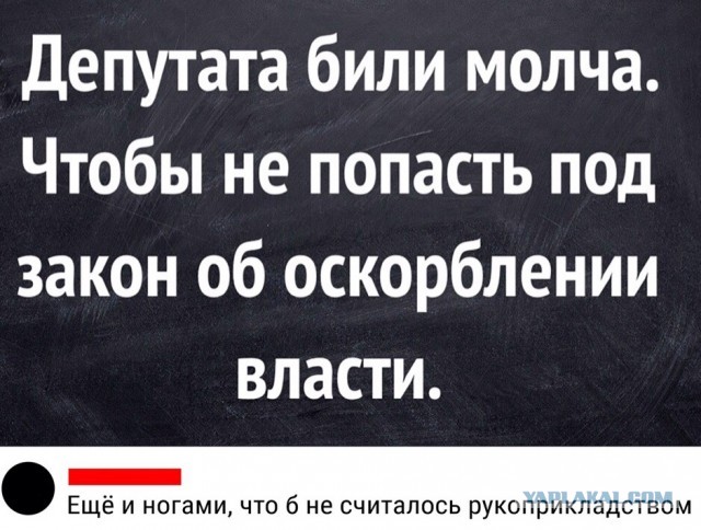 На главу ЦИК Эллу Памфилову напали у нее дома и ударили электрошокером