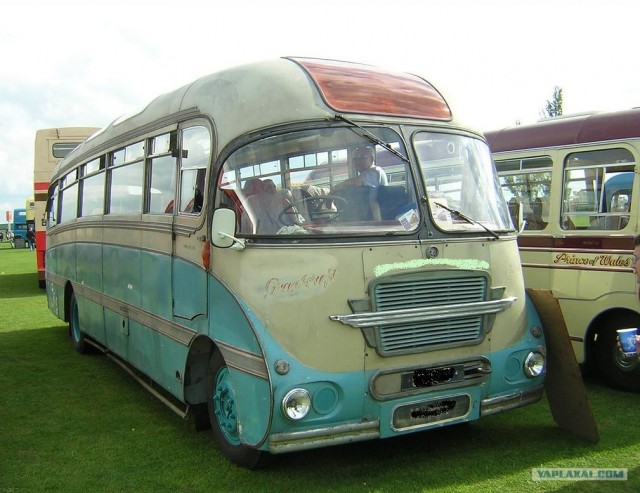 Угадай АВТО-4