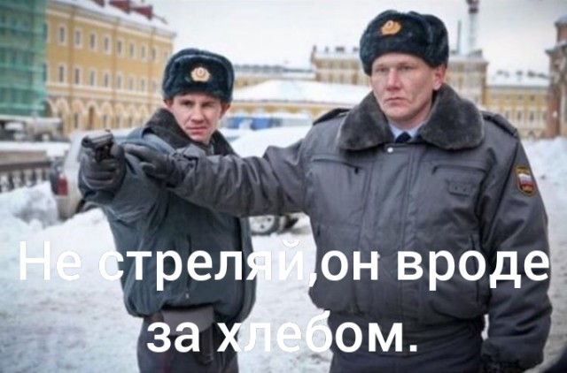 Тифоза