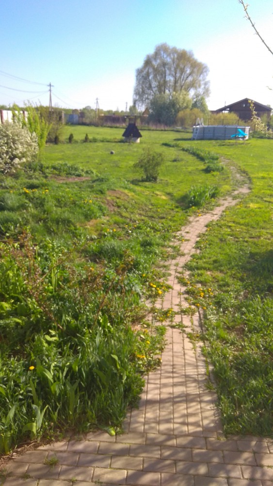 Дача, дождь, скучно