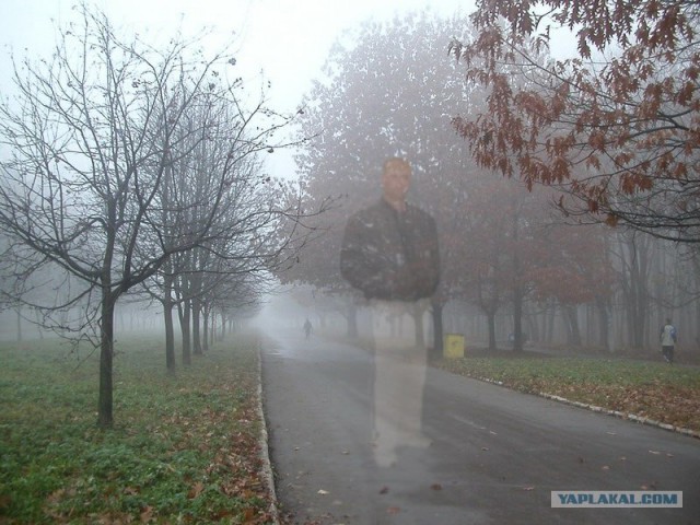 Фотожаба: Свидетель из Фрязино