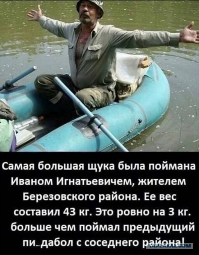 Забавные шутки, картинки и фразы из этих ваших интернетов