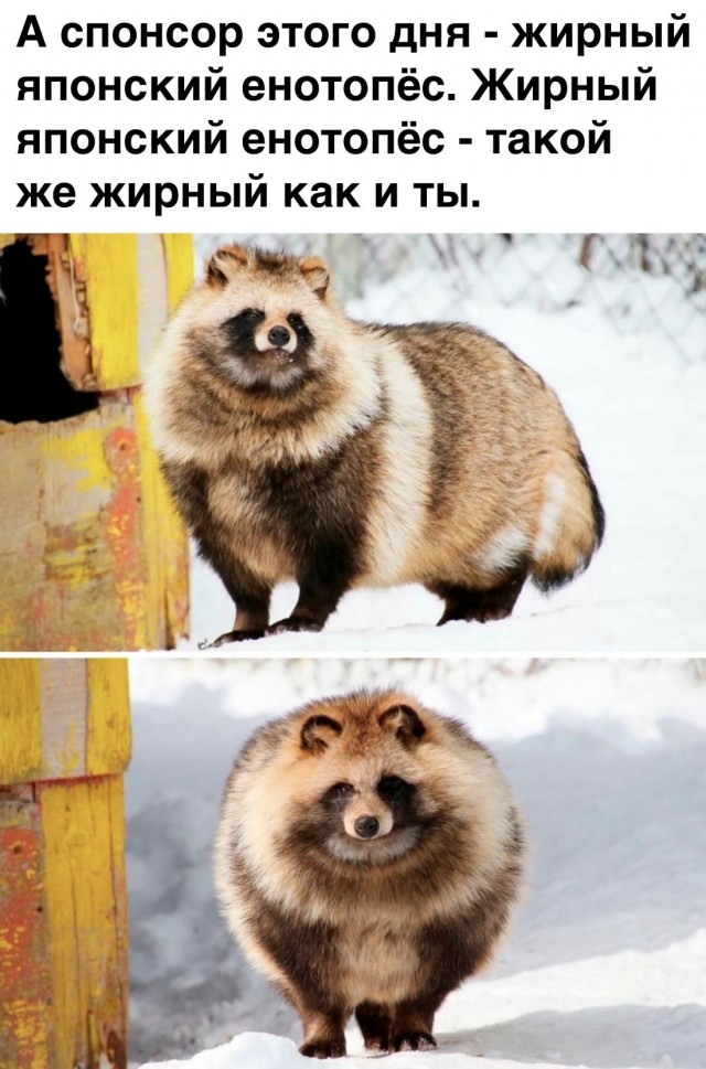 Немного картинок с надписями и без 18.12.2020