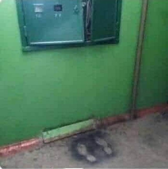 А Вы точно электрик?