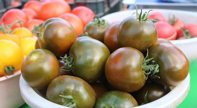 Современные магазинные помидоры не слишком вкусны