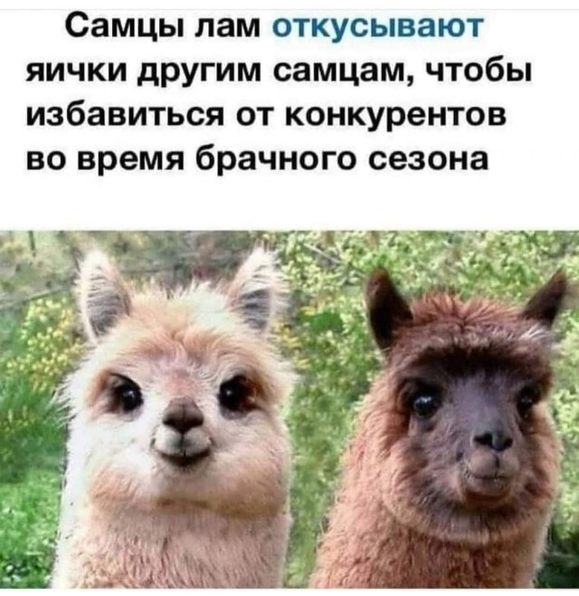 Сегодня совсем лайтово