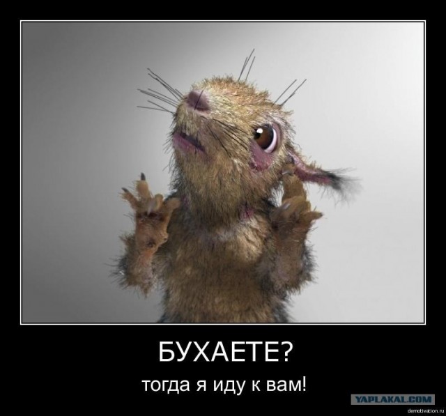 Адская белочка