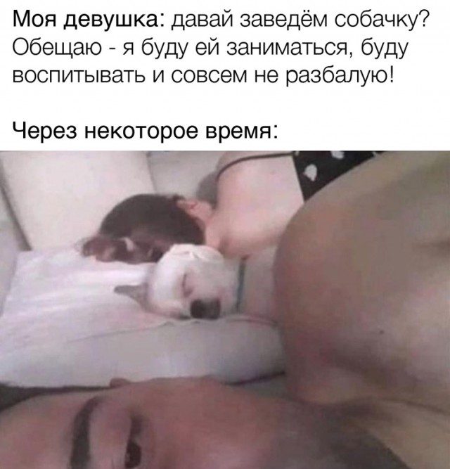 Весёлый полтишок 16.02