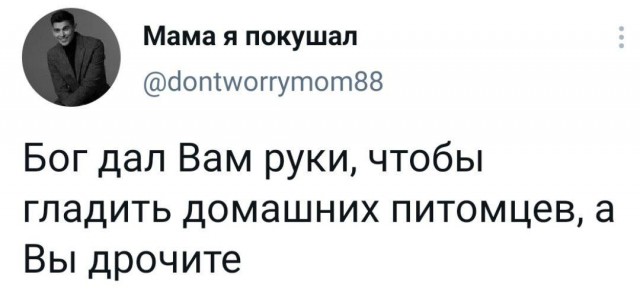 Картинки и мемы для настроения 011