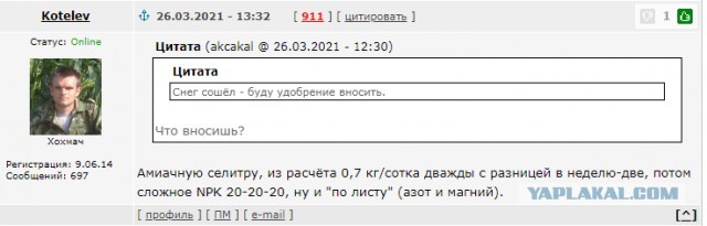 Зачем мой друг засадил 8 соток вокруг дома одним чесноком и ещё 2 гектара через дорогу