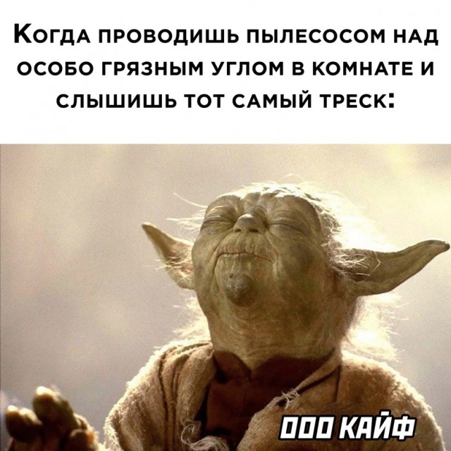 Весёлый полтишок 19.04