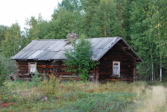 Дома на опушке леса
