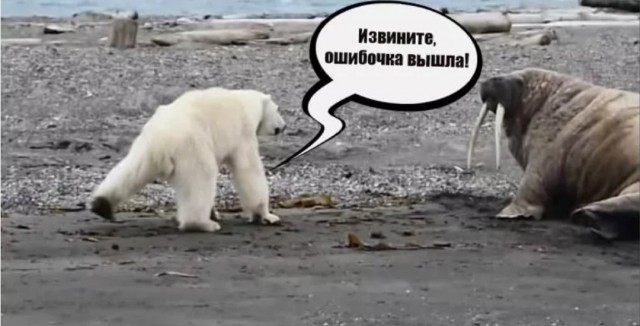 "Уважаемый, вы спите или сдохли?"