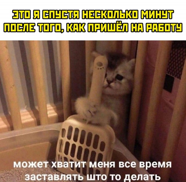 Картинки и мемы для настроения 11.08.2021