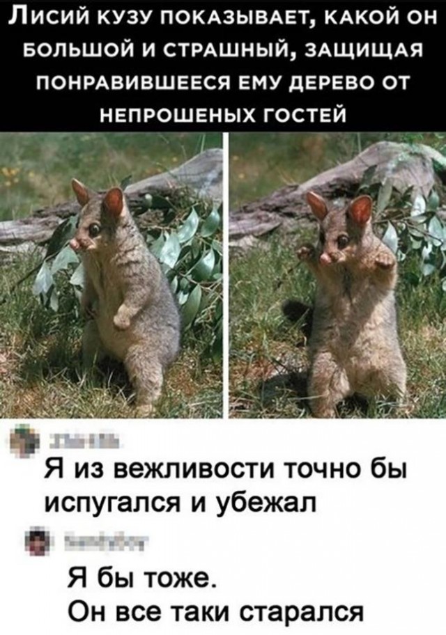 Так себе картинки 14.08.21