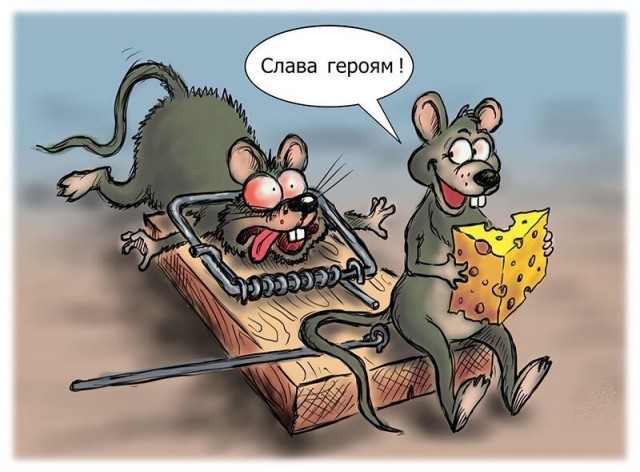 Поймать мыша не удалось