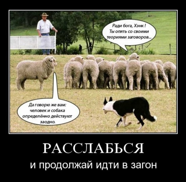 ТруЪ демотиваторы