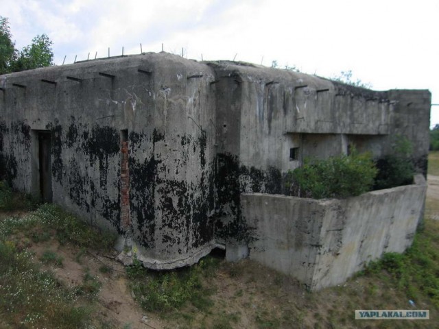 Форты Бреста