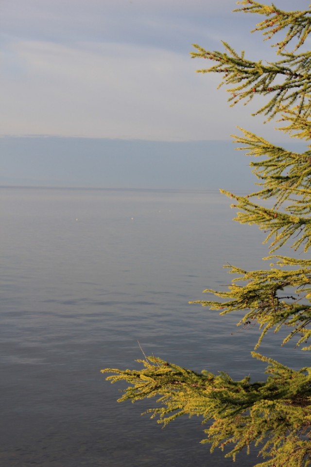 Байкал, 2011