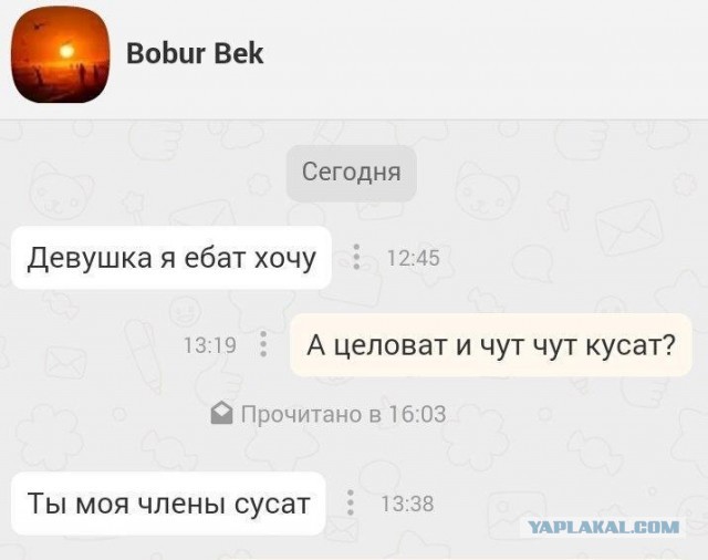 Южане в поисках любви