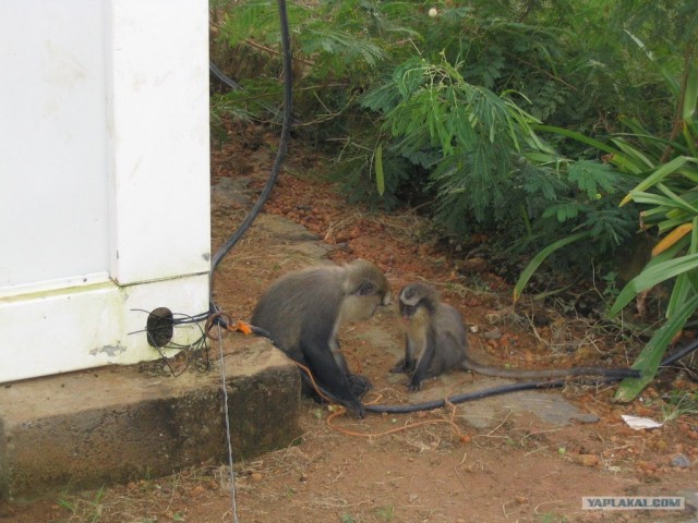 Путешествие в Сьерра-Леоне