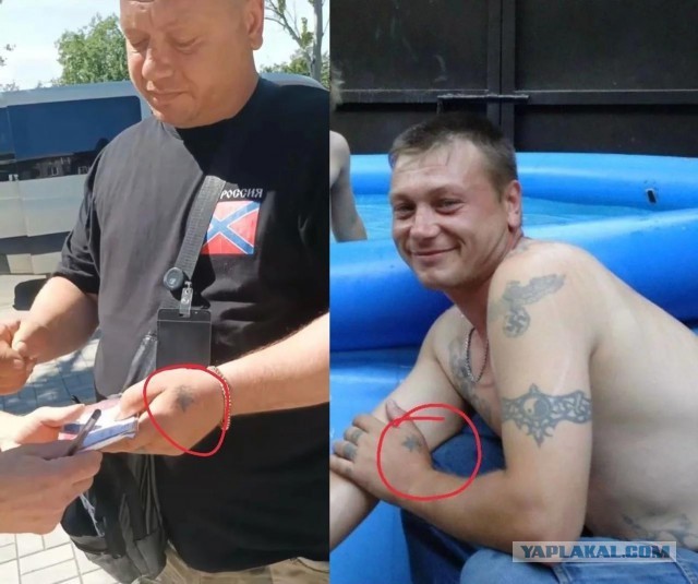 Глава Запорожской области подписал распоряжение о проведении референдума