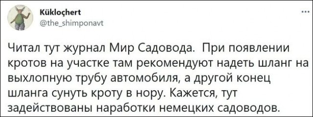 Немного картинок для настроения - 105