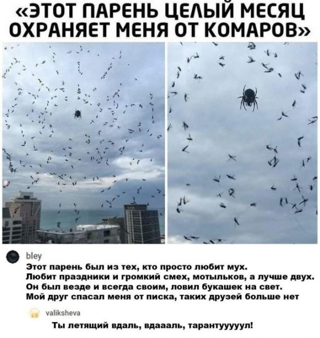 Юмор в картинках и без