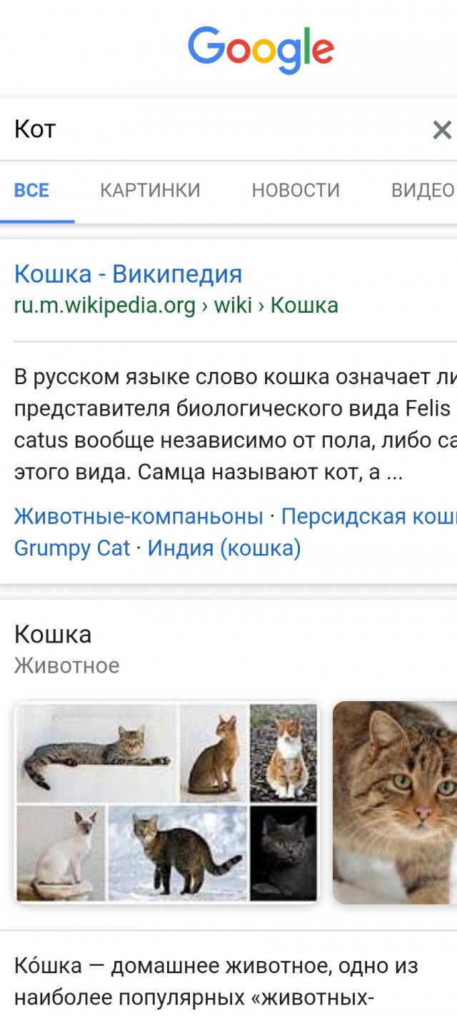 Пасхалка из Google
