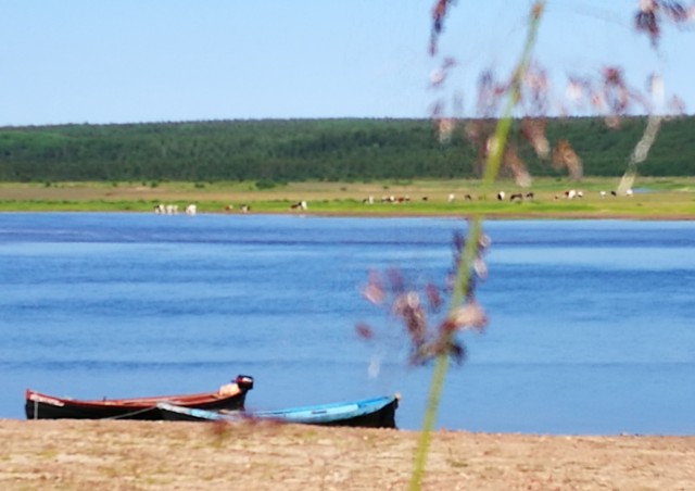 Тайна воды