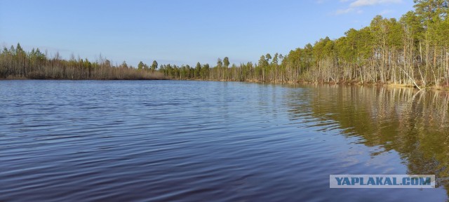 Самая красивая страна