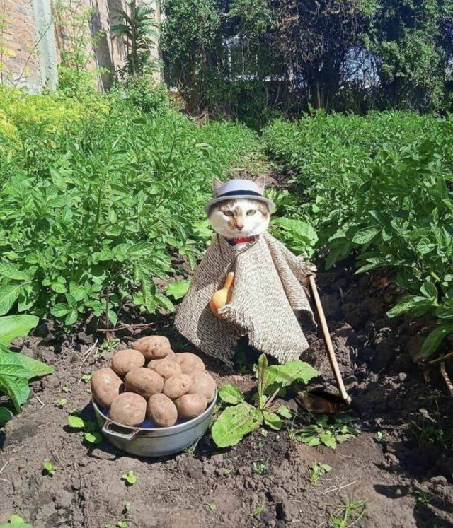 Просто фотографии