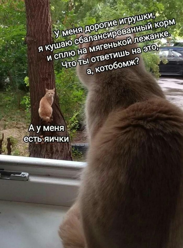 Победная поступь идиотизма по планете – том 3