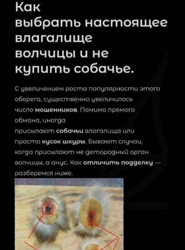 Немного картинок для настроения - 139