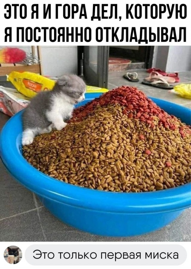 Немного картинок для настроения - 151