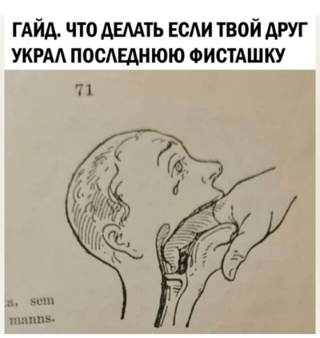 Народная меДИЧина 2017