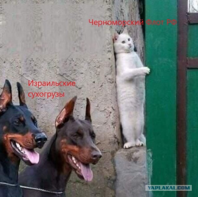 Продолжение зерновой сделки?