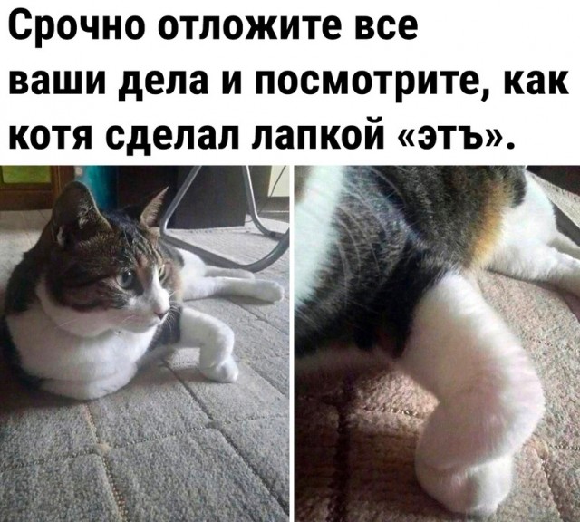 Так себе картинки 10.10.2023