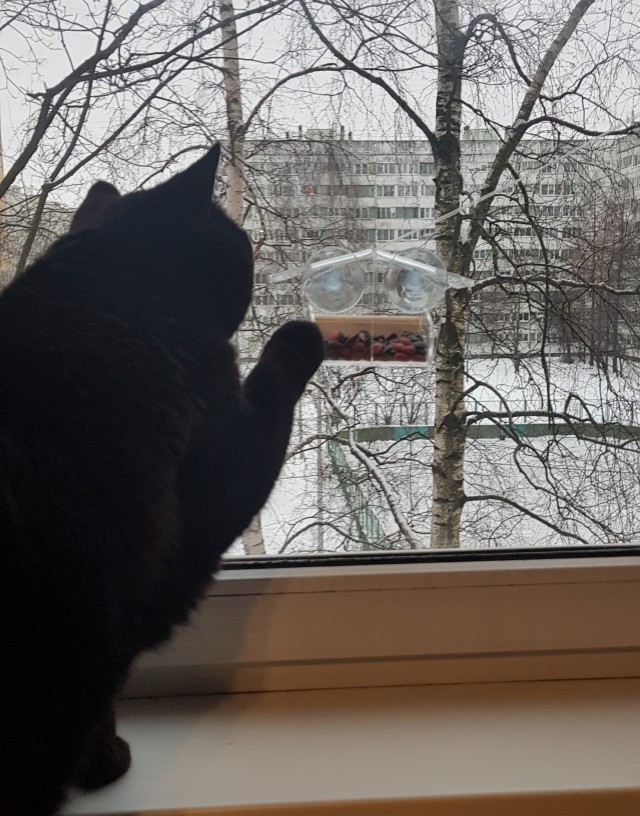 К зиме готовы