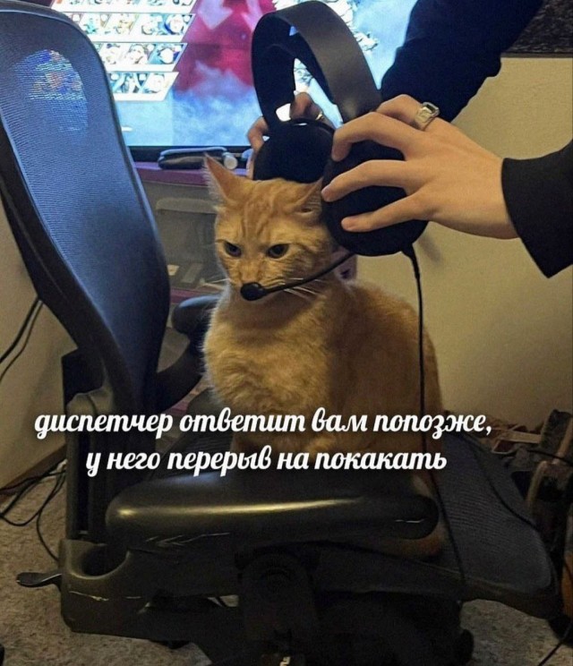 Всего понемногу. От 08.12.23