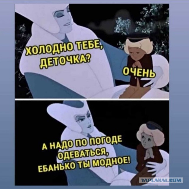 Не много весёлых картинок