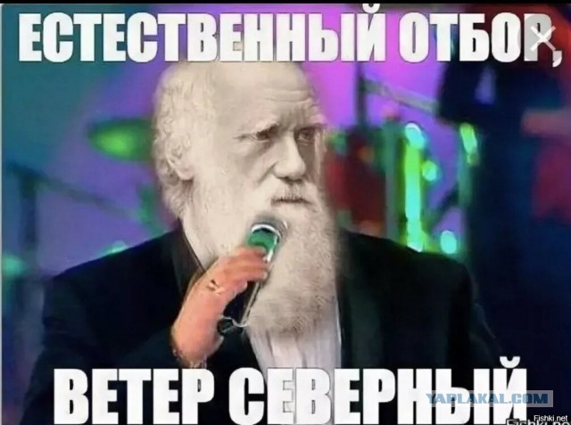 Это ж сколько мозгов нужно иметь, чтобы так на трассу выбегать?