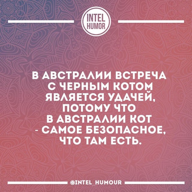 Отряд быстрого деградирования