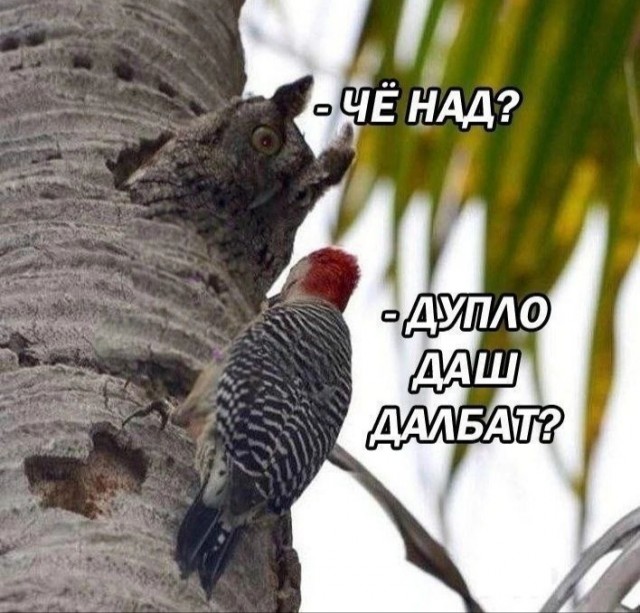 Завалялось тут случайно немного забавных картинок