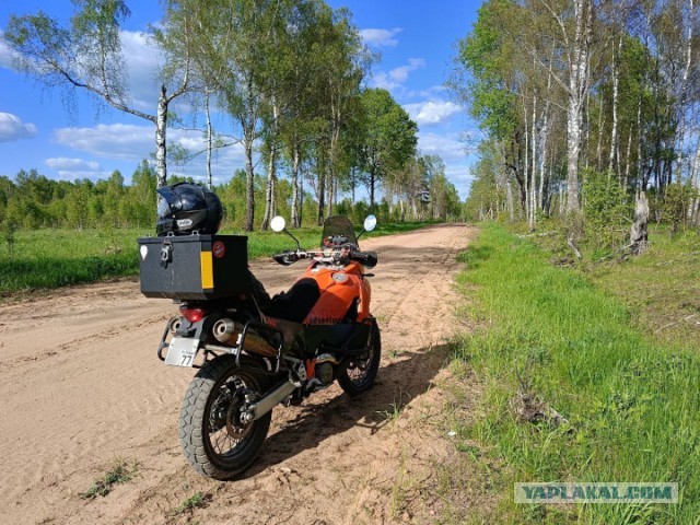 Катнул сегодня