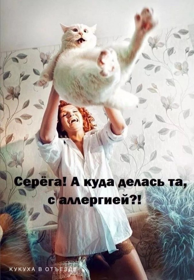 Завалялось тут случайно немного забавных картинок