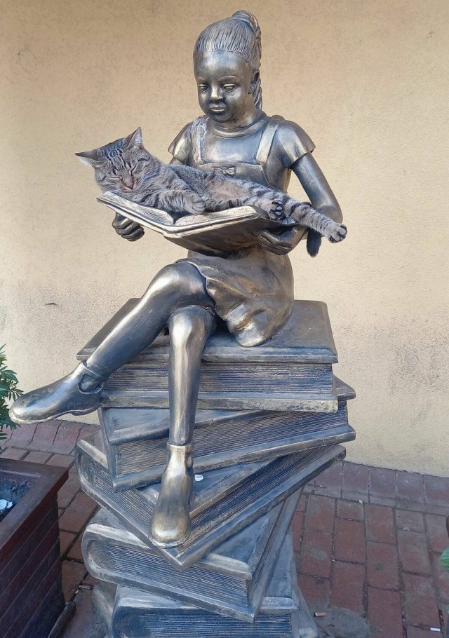 ФотоВинегрет