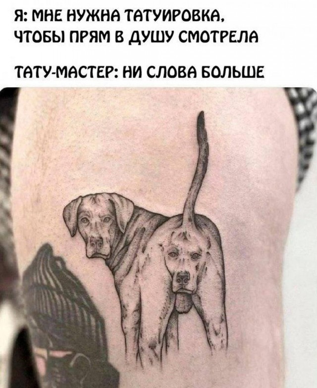 Нуштош 16.08.2024