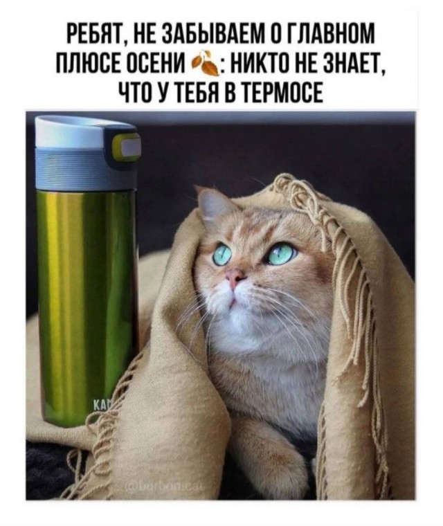 Так себе картинки 01.10.24