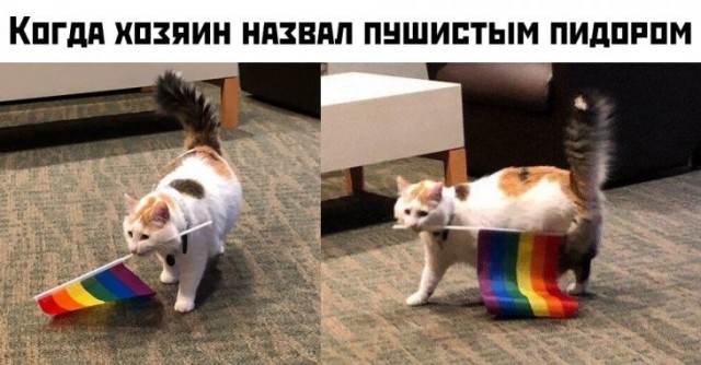 Народная меДИЧина 2001